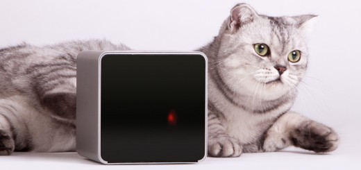 Petcube and cat 520x245 Life after Kickstarter: How Petcube is preparing its pet focused gadget for the mass market
