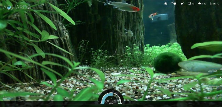 aquardio2 730x351 Bored at your desk? Kill a few minutes by feeding some real fish via this Web app