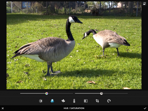photo 4 520x390 Rookie may just be an ideal replacement for your iPhones built in camera app