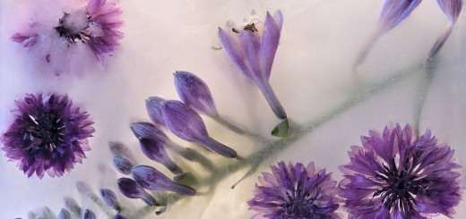 shutterstock_120991165