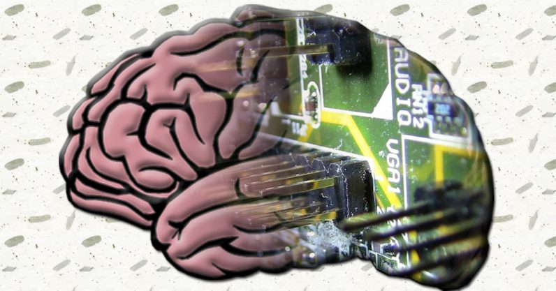 Researchers developed algorithms that mimic the human brain (and the results dont suck)