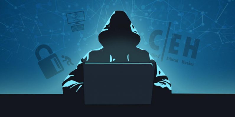  ethical hacking package eight-course right bundle available 