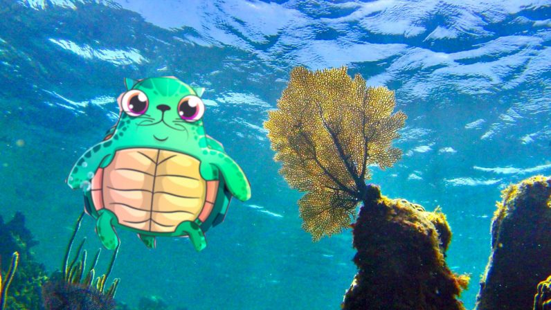  blockchain still ethereum honu cryptokitties hawaiian turtle 