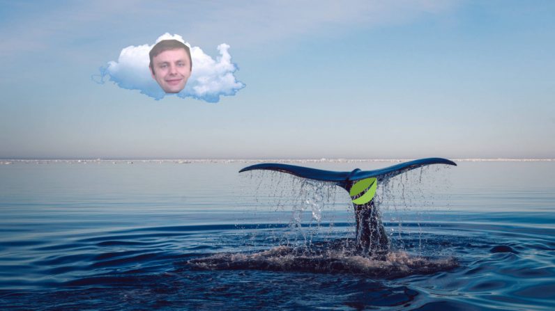  blockchain eos community whales against voice when 