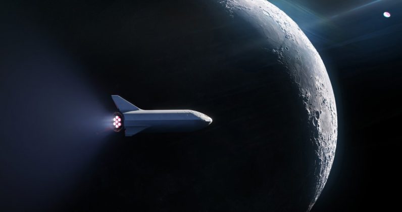  spacex moon passenger falcon signed trip around 