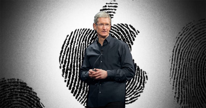Is Tim Cook the champion of privacy?