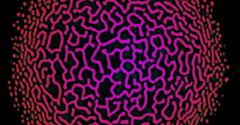 This trippy 80s video effect might help explain consciousness
