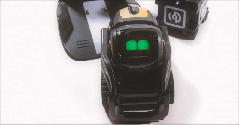  robot vector out only tell anki anyone 