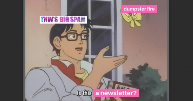  year spam newsletter big hate daily learned 