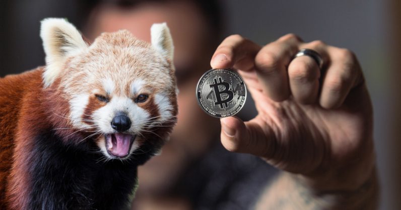 Welcome to the longest Bitcoin bear market in history