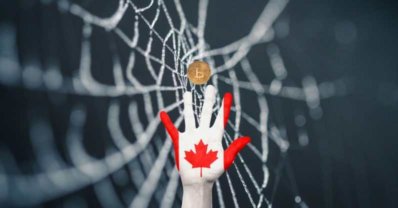 Canada confiscates $1.4M in Bitcoin from dark web drug dealer