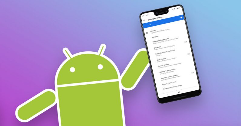 How to access Androids hidden developer options