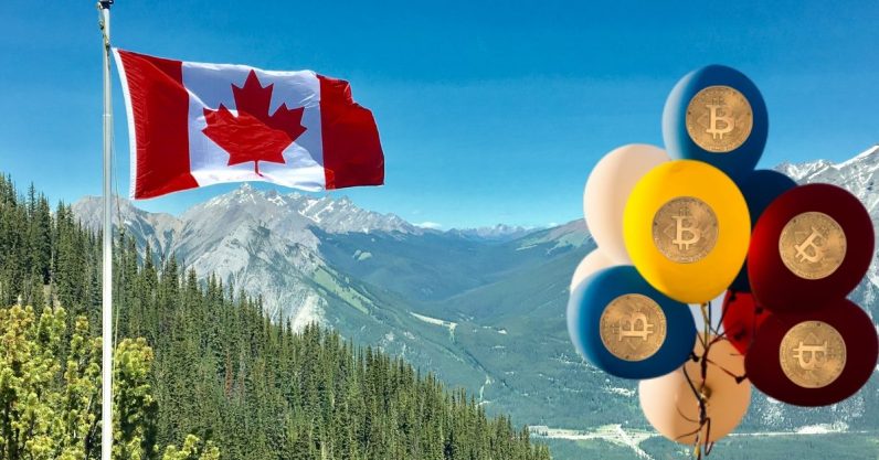  cryptocurrency msbs canada exchanges service dealing businesses 