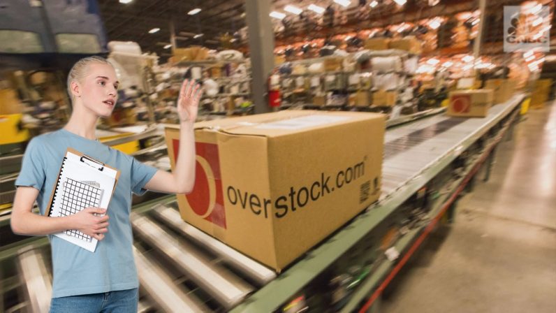  ceo russian overstock spy byrne suspected romantically 