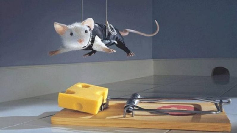  method brain new mice light researchers manipulating 