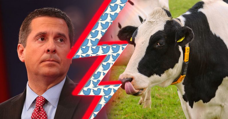 Twitters refusal to dox a cow stymies Republicans $250M lawsuit