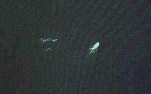 Loch Ness Monster on Google Earth