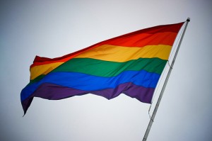 Rainbow Pride by brainchildvn http://www.flickr.com/photos/brainchildvn/2660109255/