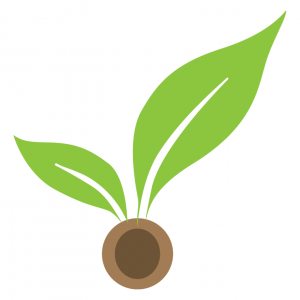 seedcamp-logo