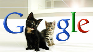 Google Kittehs