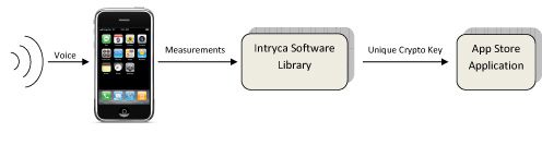 Intryca Security Process