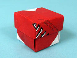 Wondering what to do with Netflix Envelops?