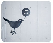 Emerging Artists Too Self-Important for Social Media?