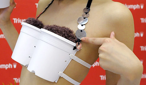 Plant a rice garden in your BRA!! FTW?