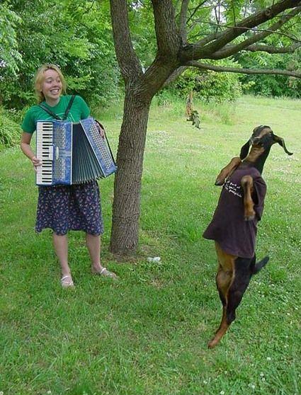 This Picture Is Uncaptionable