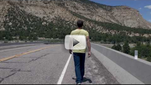 Swarming the web: embeds of this video