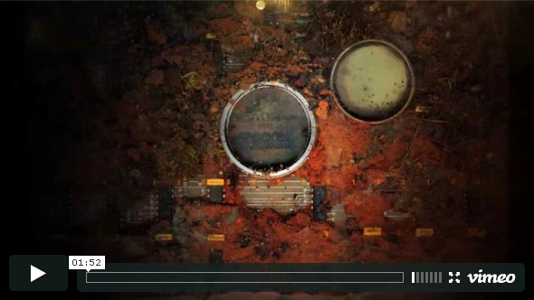 This video demonstrates why you should or shouldn’t put an Ant colony in your scanner: