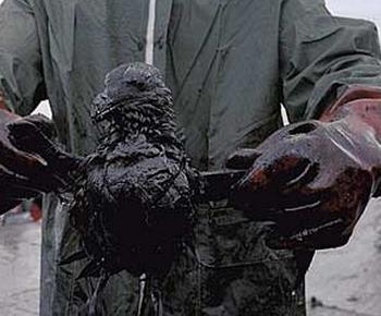 There Is A New X Prize To Be Won – Can You Clean Up Oil?