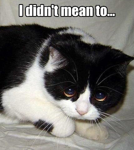 Make This Face When Late To Work