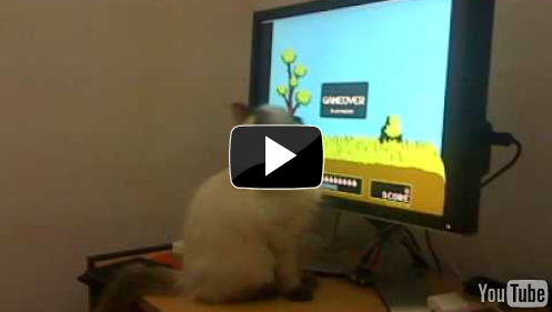 Remember Duckhunt? You’re not the only one who enjoyed it: