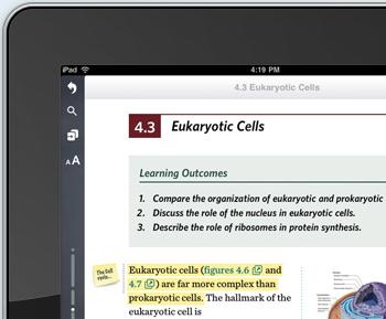 The iPad Is Apple’s Fourth Wave In Education