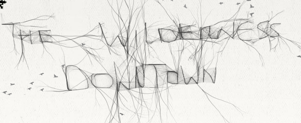 The Wilderness Downtown