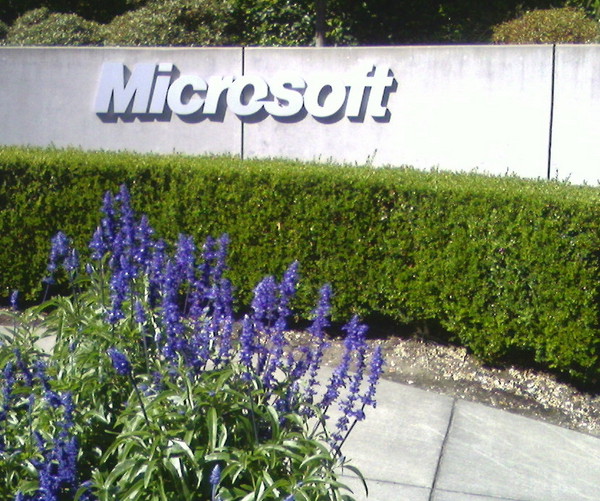 Microsoft: Who Poked the Sleeping Dragon?