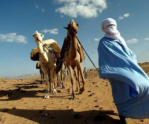 Libya Deletes .ly Domain Name Without Warning or Notice. Bit.ly, en garde.