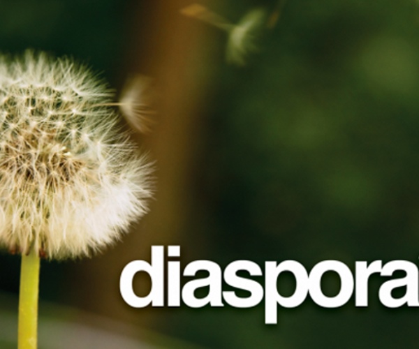 A Friend Request from Diaspora: We accept, but we’re slightly disappointed