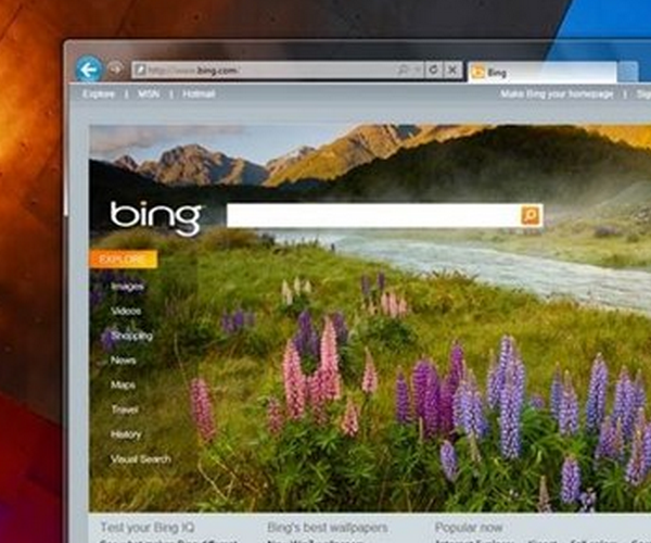 How is Internet Explorer 9 doing?