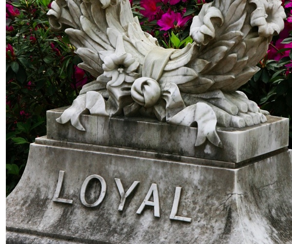 Is Loyalty Dead? Unlocking its secrets with social media