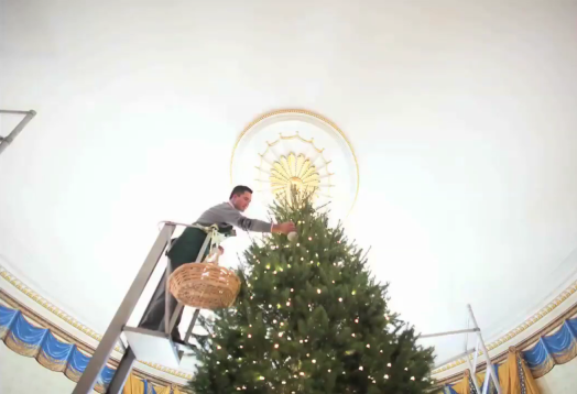 Time to set up the Christmas Tree, White House Style