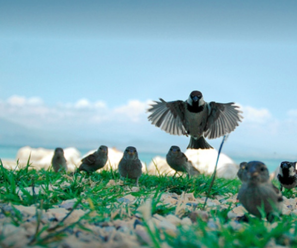 10 Ways Journalists and the Media Use Twitter