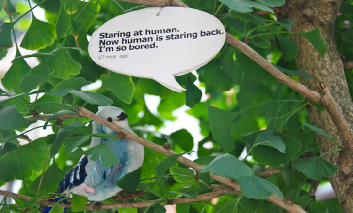 Birdsong for WP7 is Twitter nirvana