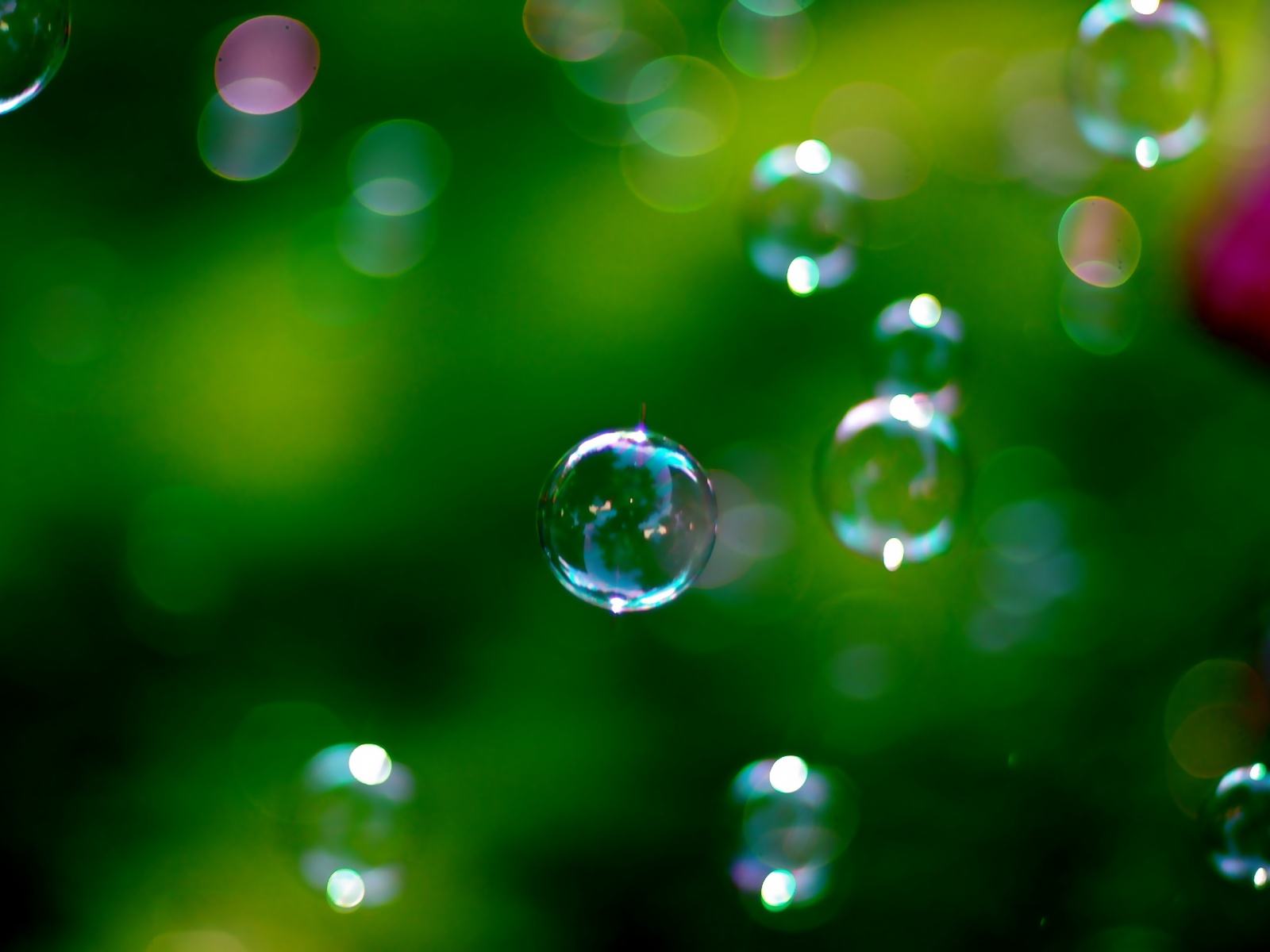A technology bubble? History says no.