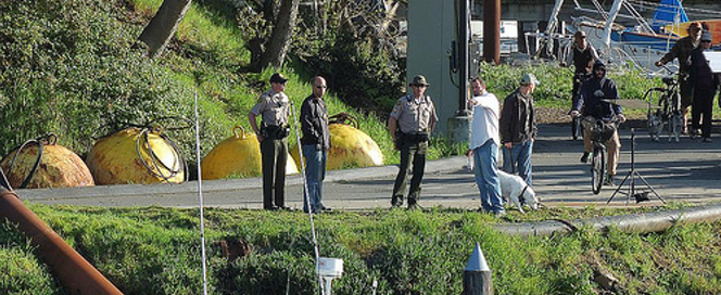 Busted: Santa Cruz Police Launch iPhone App