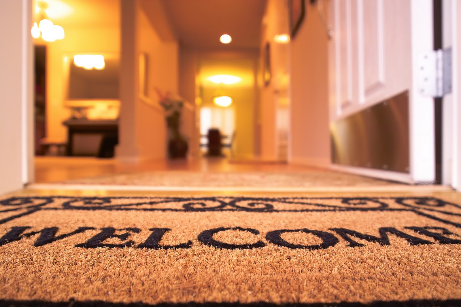 Nestio plans to make apartment hunting smart, social and easy