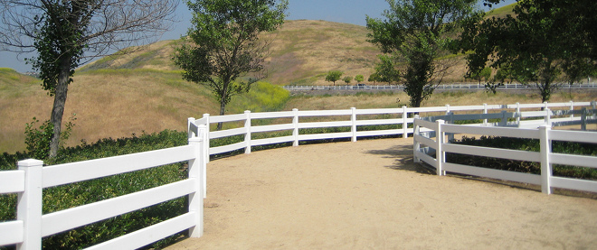 The Changing Silicon Valley Career Path