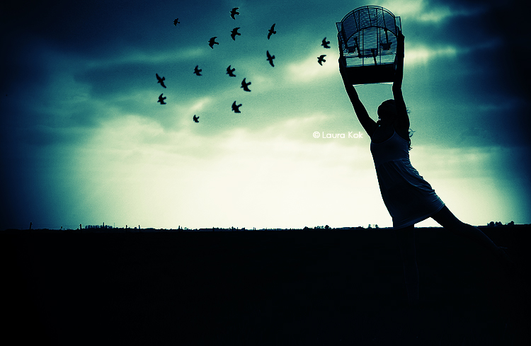 Aviary’s new photo API takes flight, leveling the playing field for photo app developers