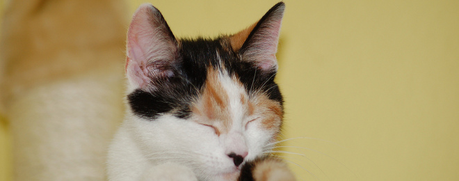 5 gadgets to help you get a good night’s sleep